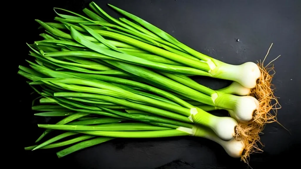 How to grow green onions without soil