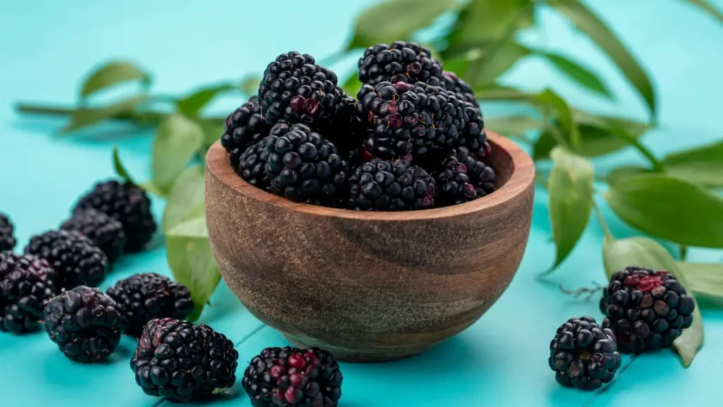 How to grow blackberries