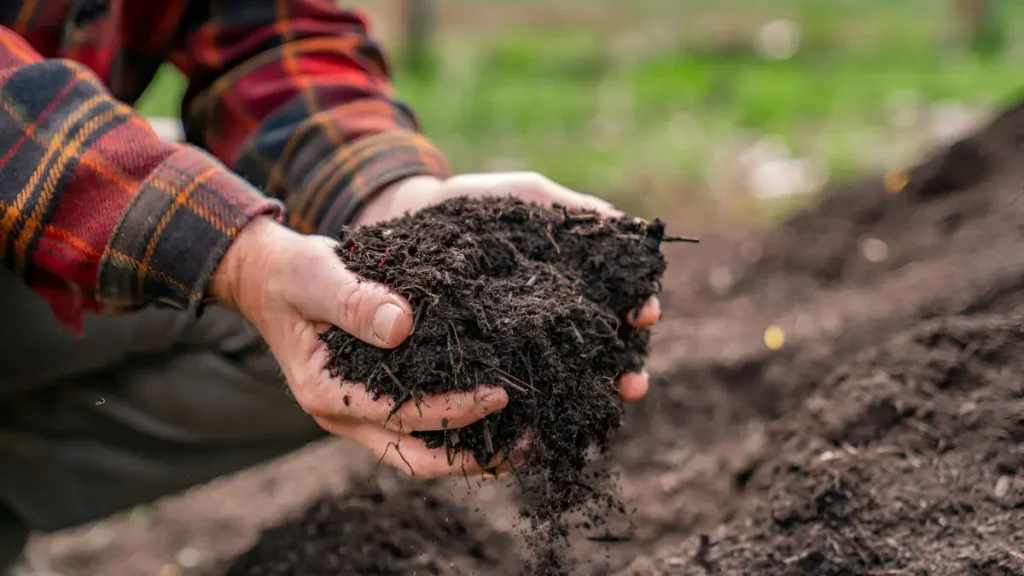 How To Make Compost Tea