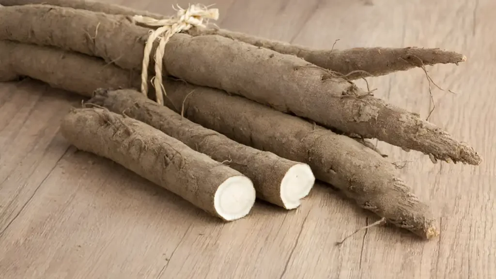 Health Benefits Of Burdock Root