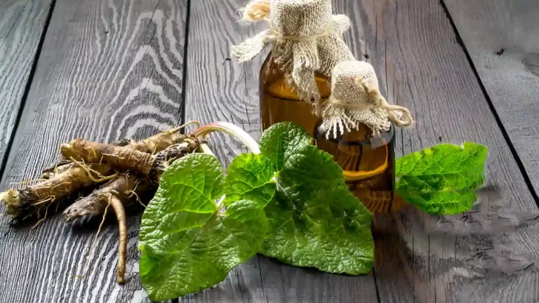 Burdock Root Benefits