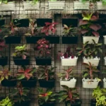 How to begin vertical gardening