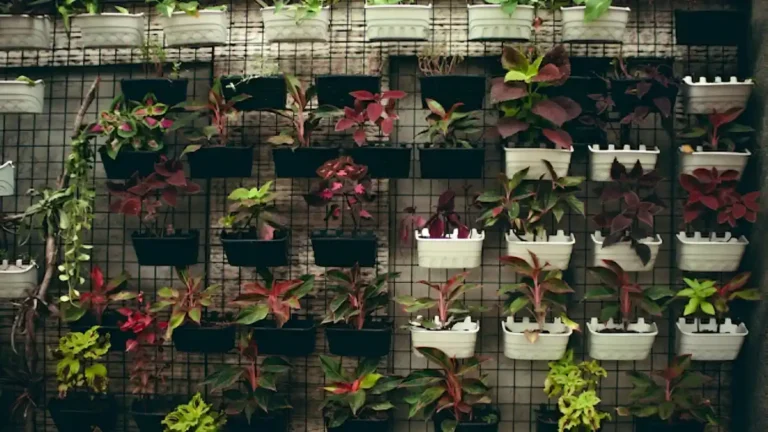 The Beginners Guide to Vertical Gardening: Save Space, Grow More How to begin vertical gardening