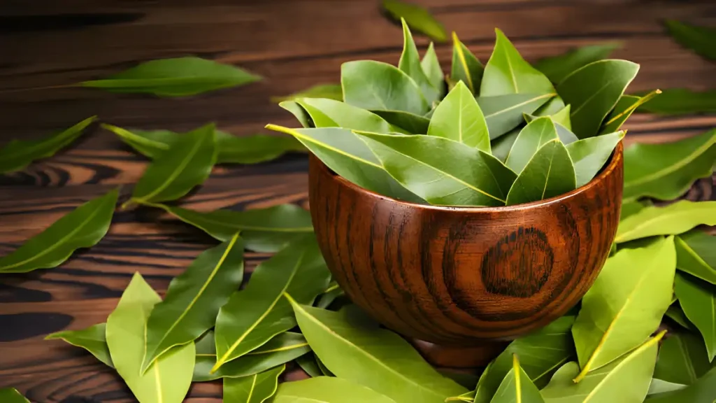 Bay leaves benefits