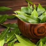 Bay leaves benefits