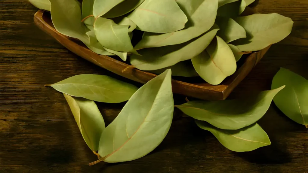 Benefits of bay leaves