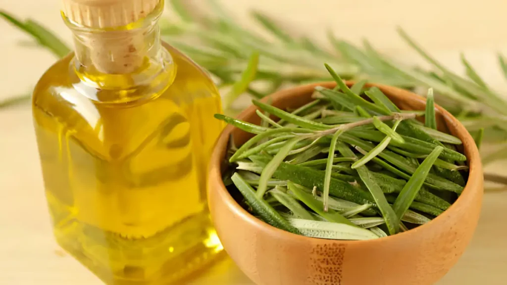 Reveal the Techniques: How to Make Rosemary Oil for Hair How To Make Rosemary Oil
