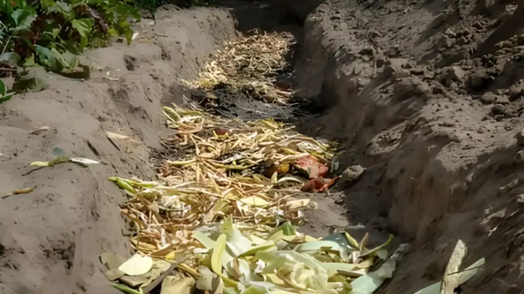 Trench Composting