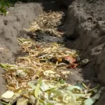 Trench Composting