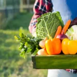 What to plant in march