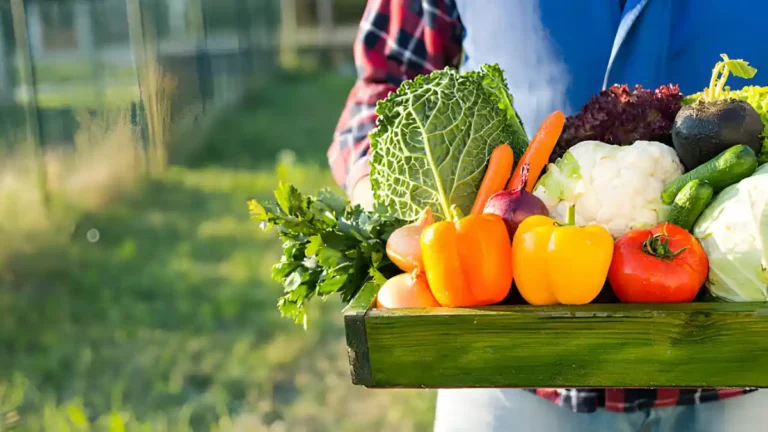 Best Top 8 Vegetables to Plant in March for a Bumper Harvest What to plant in march