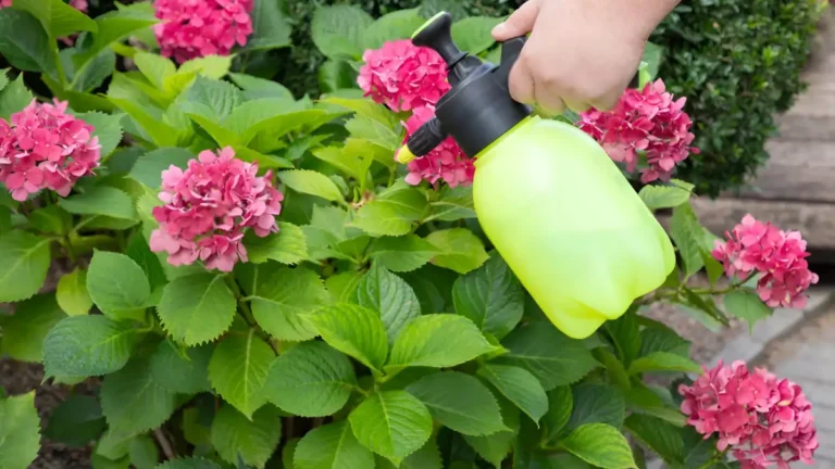 Natural Pest Control for Garden: Keep Pests Away Naturally Natural Pest Control for Garden