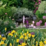 Flowers to plant in October