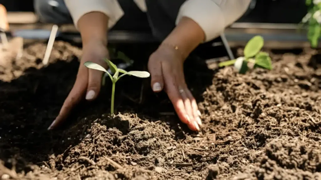 Different types of soil for plants