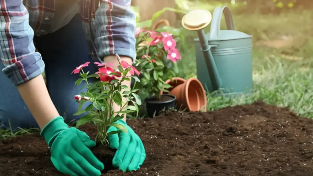 Types of soil