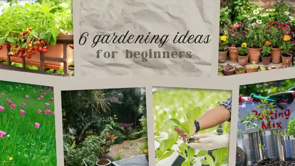 Gardening ideas for beginners