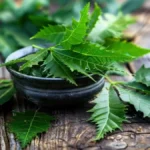 Benefits of neem