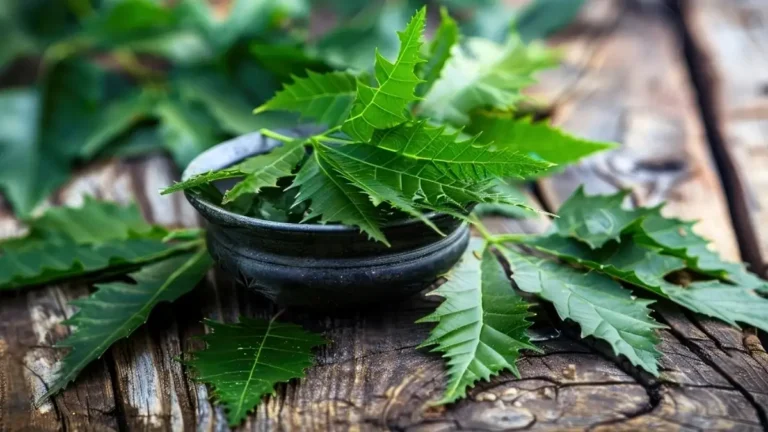 Benefits of neem